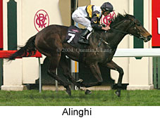 Alinghi (14534 bytes)