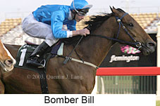 Bomber Bill (13718 bytes)