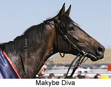 Makybe Diva (12544 bytes)