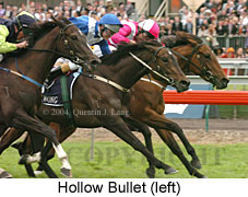 Hollow Bullet (18507 bytes)