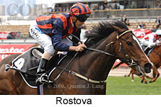 Rostova (18507 bytes)