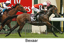 Bexaar (14872 bytes)