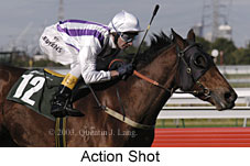 Action Shot (12843 bytes)