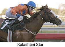 Kalashani Star (11890 bytes)