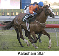 Kalashani Star (11890 bytes)