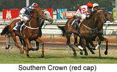 Southern Crown (18138 bytes)