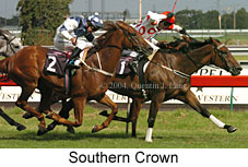 Southern Crown (17367 bytes)