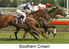 Southern Crown (17157 bytes)