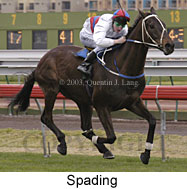 Spading (14095 bytes)
