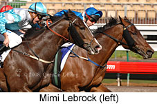 Mimi Lebrock (14772 bytes)