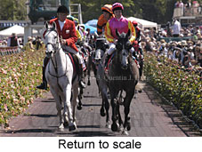 Return to scale (20098 bytes)