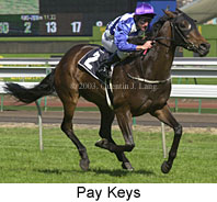 Pay Keys (14690 bytes)