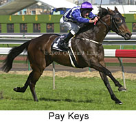 Pay Keys (15065 bytes)