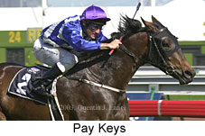 Pay Keys (13668 bytes)
