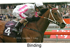 Binding (18507 bytes)