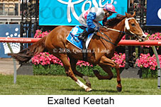 Exalted Keetah (18507 bytes)