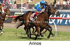 Arinos (18507 bytes)