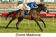 Divine Madonna (17710 bytes)
