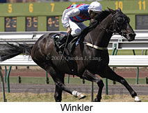 Winkler (13912 bytes)
