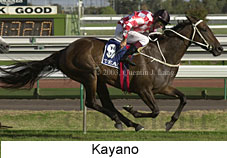 Kayano (15078 bytes)