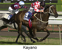 Kayano (16517 bytes)