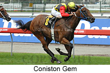 Coniston Gem (14872 bytes)