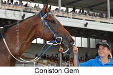 Coniston Gem (14872 bytes)