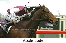 Apple Lode (14872 bytes)