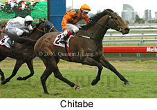 Chitabe (14872 bytes)