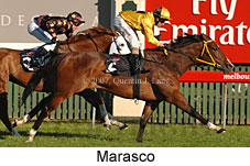 Marasco (17571 bytes)