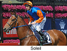 Soleil (18507 bytes)