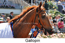 Gallopin (18507 bytes)