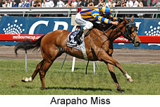 Arapaho Miss (18507 bytes)