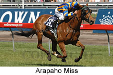 Arapaho Miss (18507 bytes)