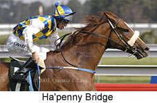 Ha'penny Bridge (14609 bytes)