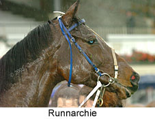 Runnarchie (14872 bytes)