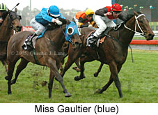 Miss Gaultier (14872 bytes)
