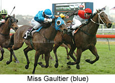 Miss Gaultier (14872 bytes)