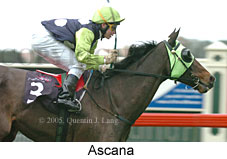 Ascana (14872 bytes)