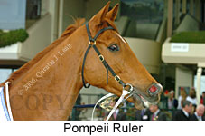 Pompeii Ruler (19327 bytes)