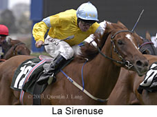 La Sirenuse (14171 bytes)