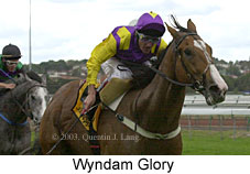 Wyndam Glory (12481 bytes)