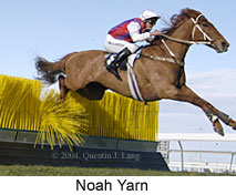 Noah Yarn (15541 bytes)