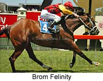 Brom Felinity (18507 bytes)