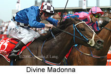 Divine Madonna (17076 bytes)