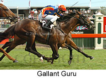 Gallant Guru (17076 bytes)