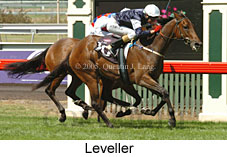 Leveller (14872 bytes)