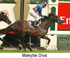 Makybe Diva (14872 bytes)