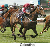Celestina (17086 bytes)