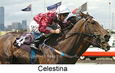 Celestina (13671 bytes)